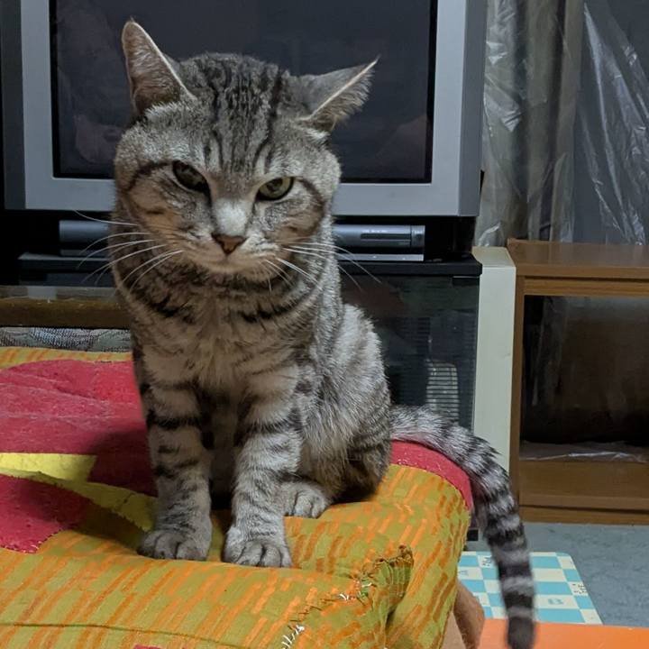 1d6dfac5 9db7 4cff 9693 842f8bd7ee7d 1741685821054