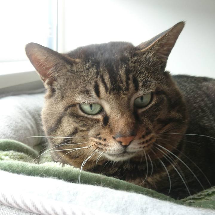 1d6e0bab 9cc6 4c6f 81d1 6c282955d705 1530762754645