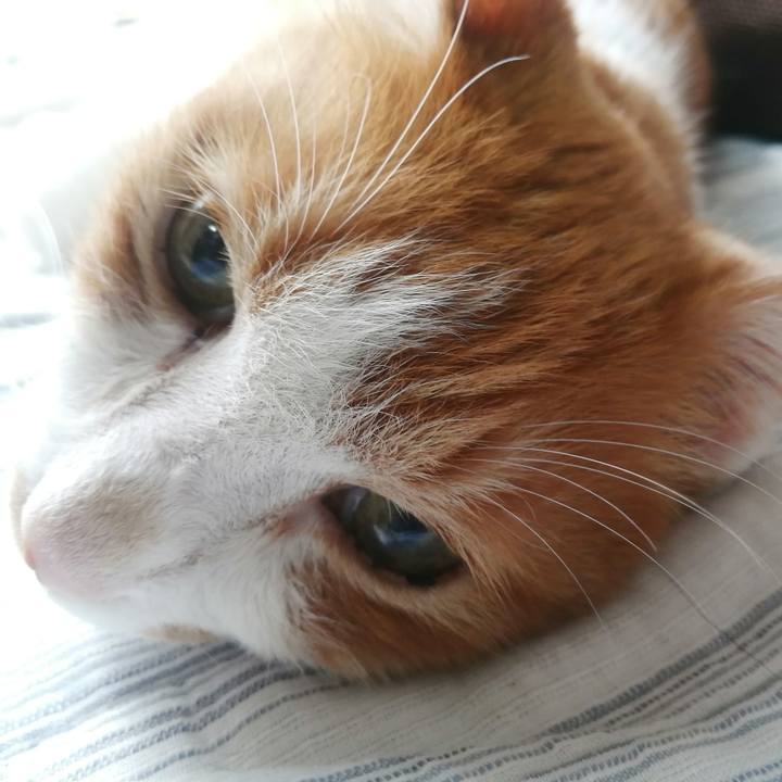 1d6e4bc9 4c5a 4ad6 a646 746d6e4c38d9 1666404196624