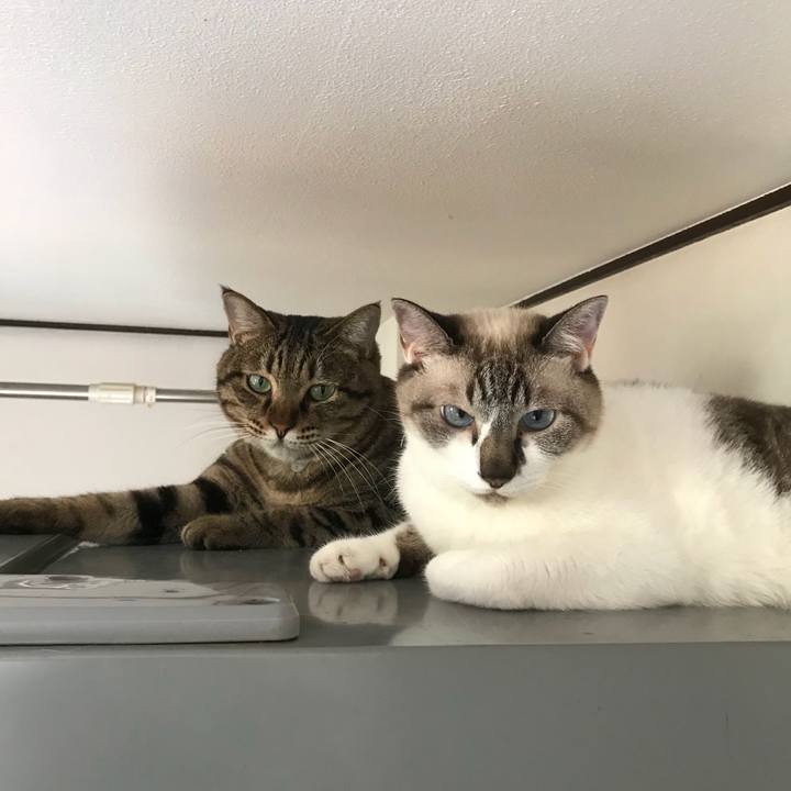 1d6e6fd2 728a 416f 966d 104bb9767331 1533447035417