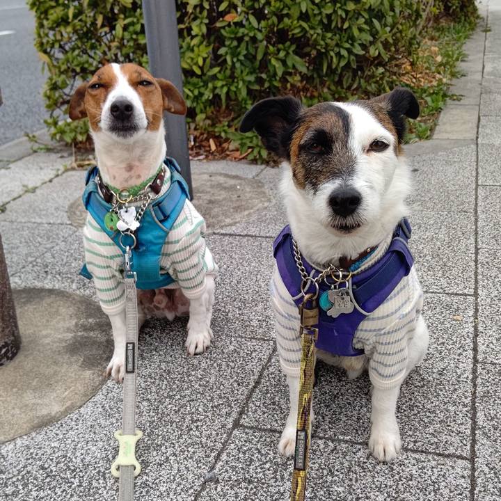 1d6e7847 15ed 4d8d a3ac 5bd5cef36587 1647129800179