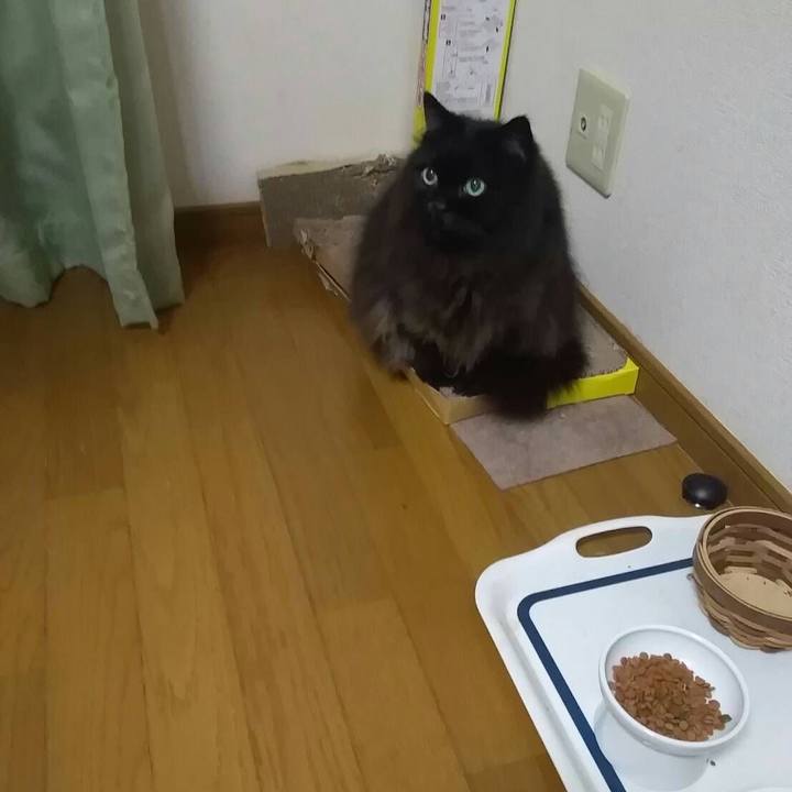 1d6ed669 a6ae 4336 a78d 854675d15d13 1545569387422