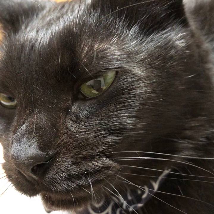 1d6ee2f8 7d0a 48a7 ad4e e81b952498b6 1579694372031