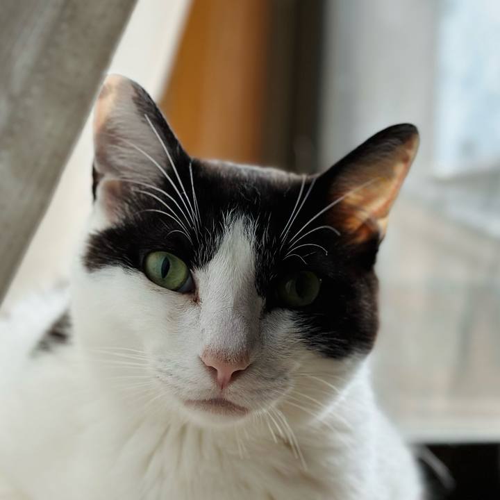 1d6ef9b7 be79 45c5 afb5 5a1a5b43ca84 1688436056626