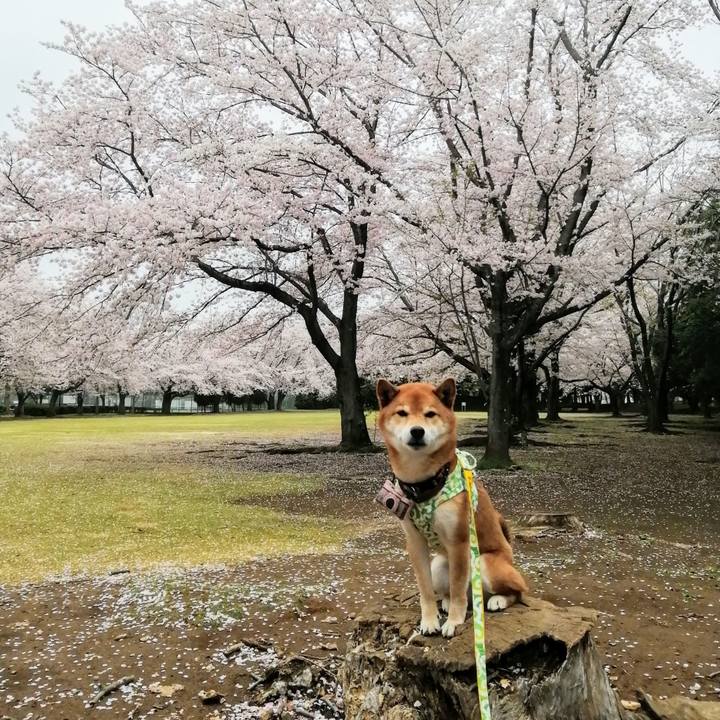 1d6f0fa6 64f5 4181 b362 826a717b9ac9 1617086040010