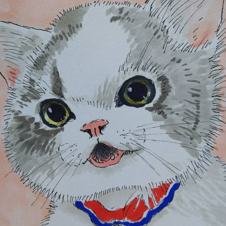 1d6f1f50 64b3 435c a67d 605d03712959 1525396831479