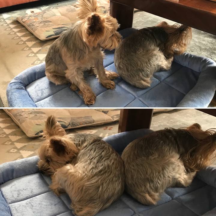 1d6f2a61 b5e3 4589 bb1b f30a9269652f 1724664911116