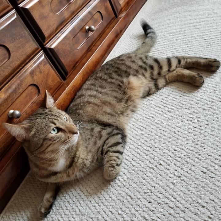 1d6f49f1 6dde 4c70 a3e0 1aa91ecb7802 1627567461906