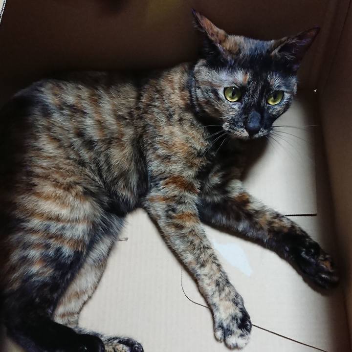 1d6f4d20 edeb 4569 bb74 c252e2068f79 1524403399743