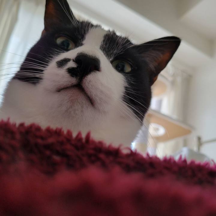 1d6f6ee6 94e5 4105 9ec6 baadbaab70de 1652730305788