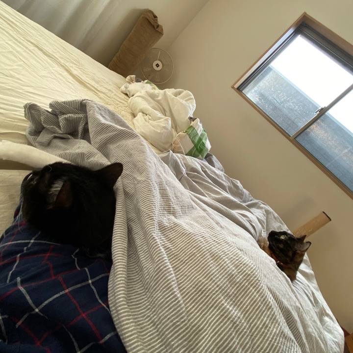 1d6f96d1 fd49 4a99 9af1 423f15083387 1601970561127