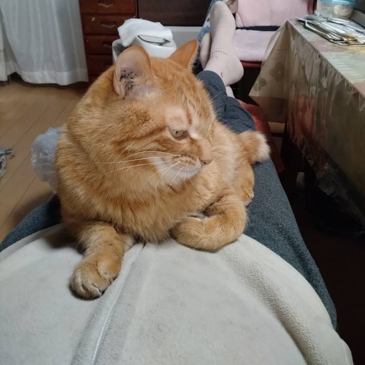 1d6fa1ef 1474 4afe 97d2 5ae36efe77aa 1742023899357