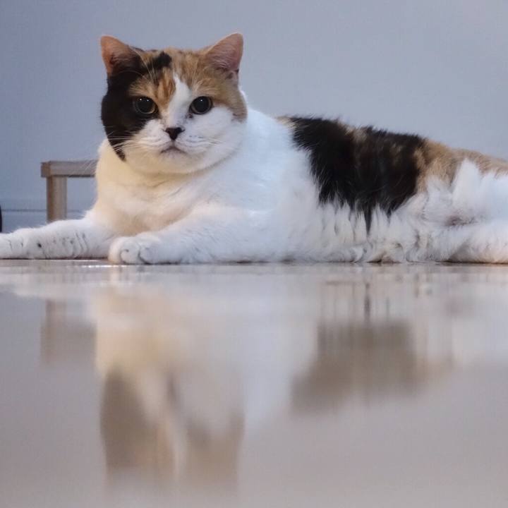 1d6fb38c 88ad 4871 ab62 febb765f1e73 1538399394112