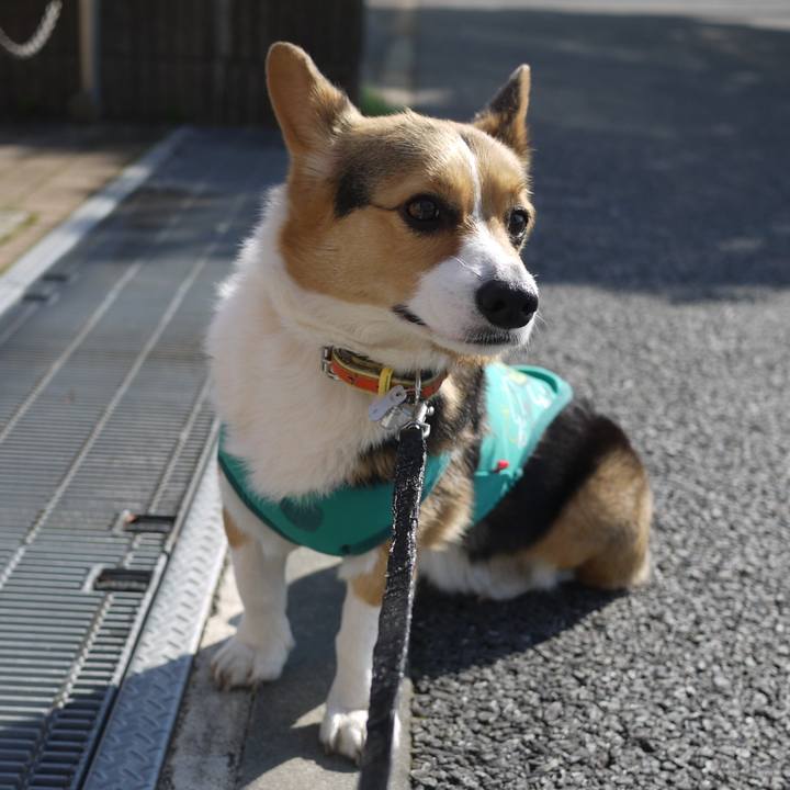 1d7015ca 11e2 4efa b649 6b95d025f92c 1763305274712