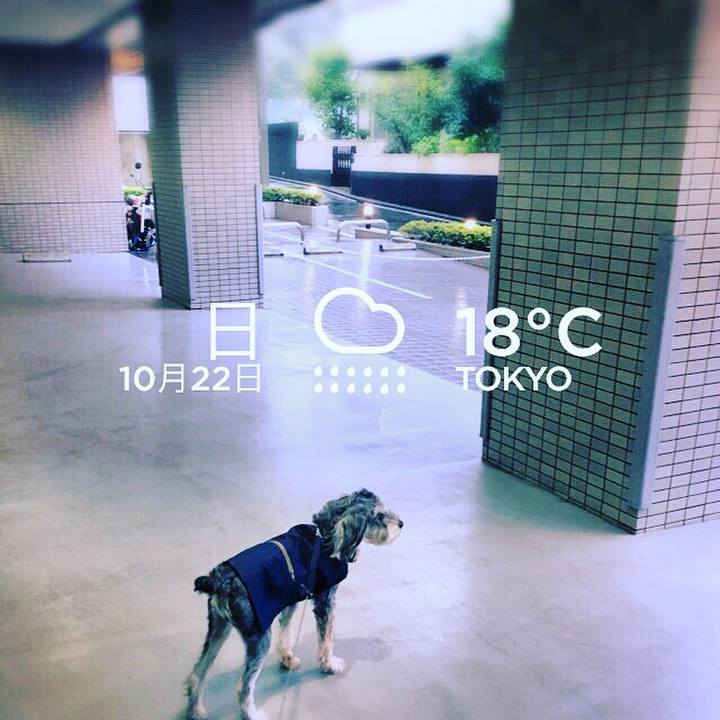 1d702065 d301 4219 8b36 bbb8b3a8fecf 1508628113047