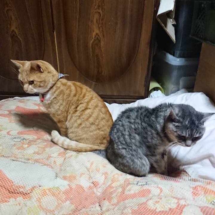 1d7020bf 68d8 451c a749 0ea226aaa8c9 1575115007916