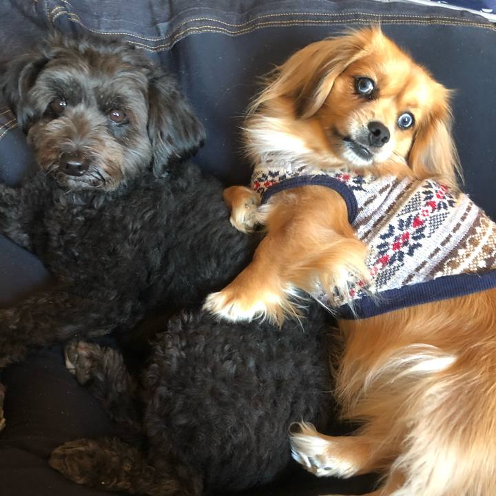 1d702b90 b59a 4be0 b7bd 9480f9b82e13 1545377193617