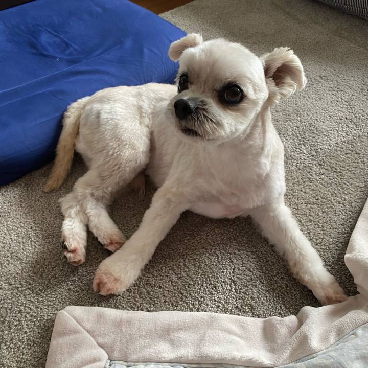 1d70513b 78e1 48b3 9c5d 643f7e71afcc 1665660859977