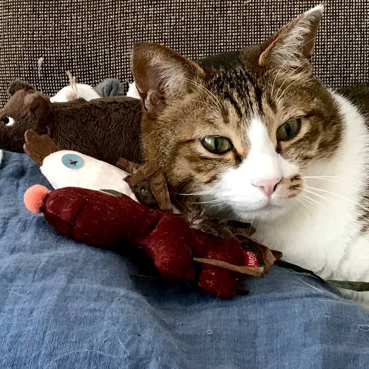 1d709bbf d1fa 4086 a9a8 529281a9d8bf 1554429175127