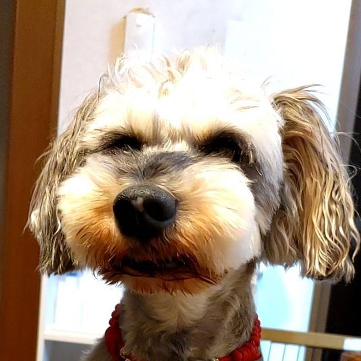 1d70b03b 3591 45e1 a28f 3070a63e06ff 1724633889411