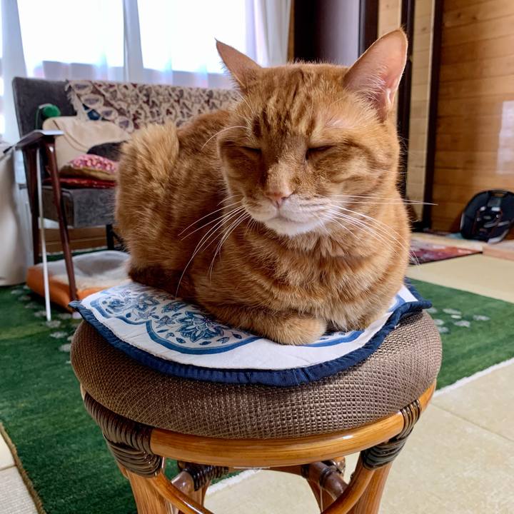 1d70b478 cd98 4a6a 9227 f6dda7eeb4f2 1622518994656