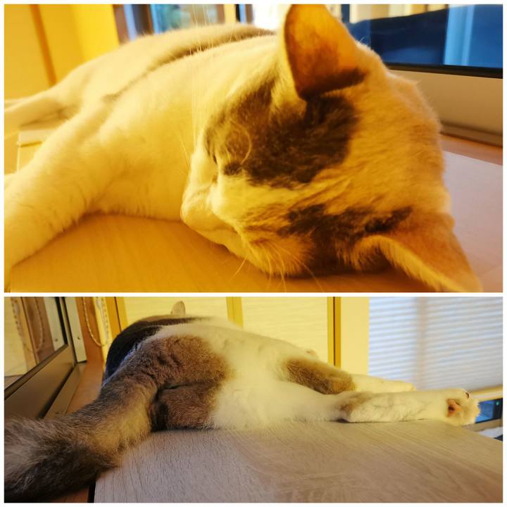 1d70d180 2e2f 473c b891 36892019ffe3 1655641566311