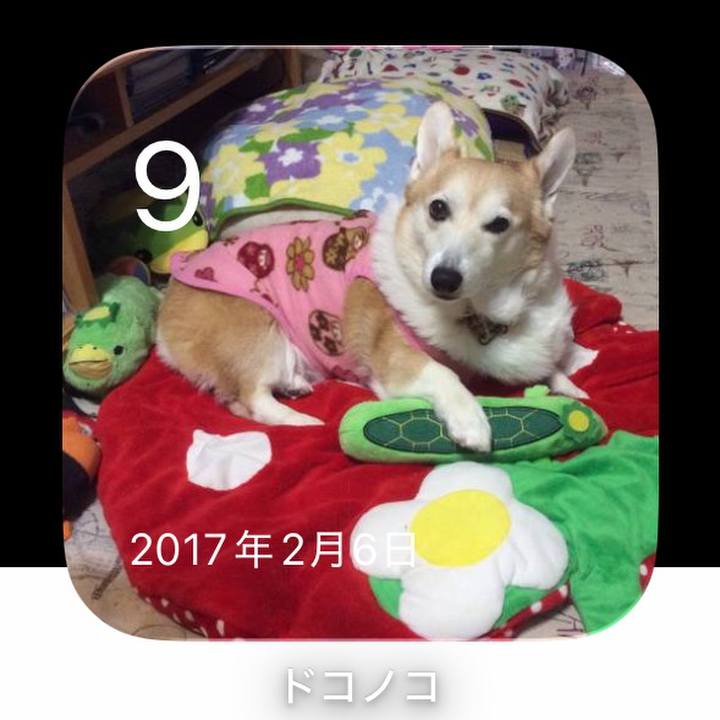 1d70f0ea 072a 453d b328 fc7347b8631a 1770647416964