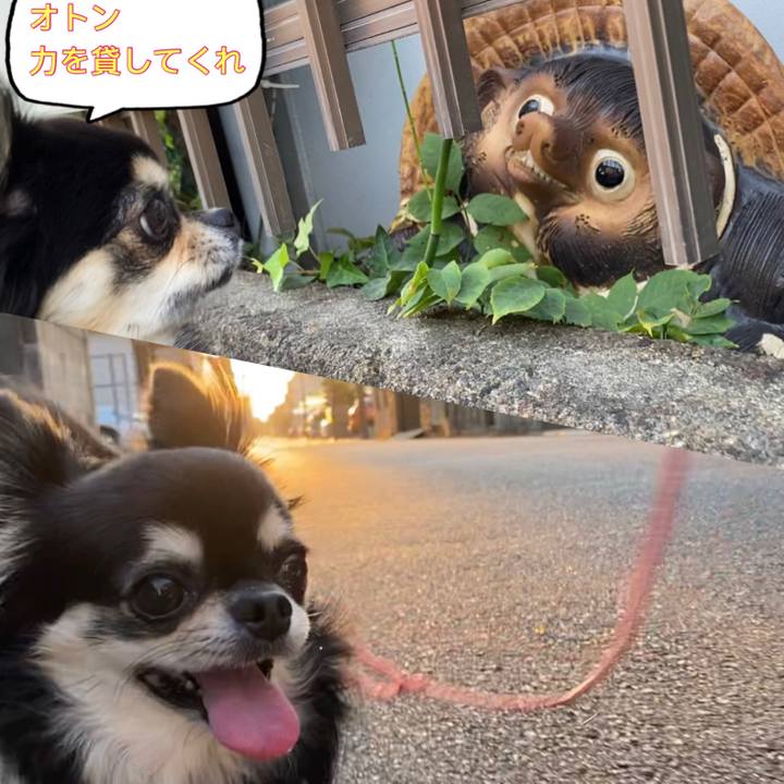 1d710497 ac22 4129 b87f 949fa778742a 1633254618605