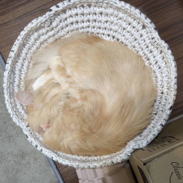 1d711567 b70a 4f37 844d 48608a2d82f1 1760107384252