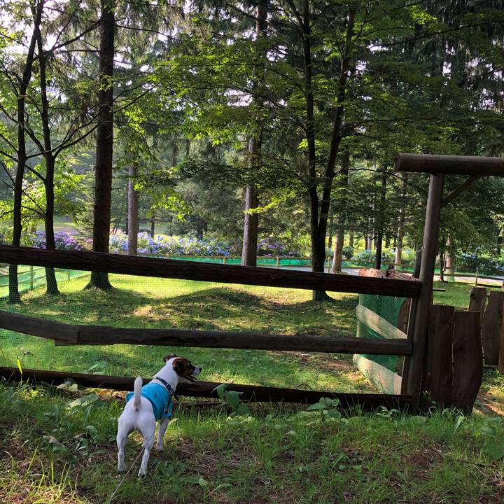 1d713681 f67a 4261 8f84 f116ae81f552 1596542425358