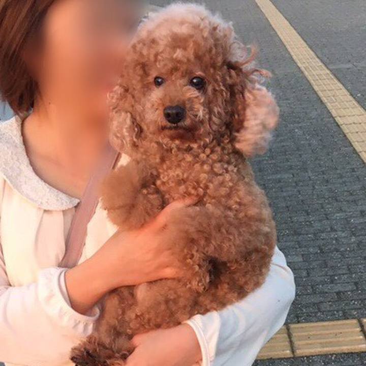 1d7147bd a49a 4024 8ec4 164496487a27 1550309772647