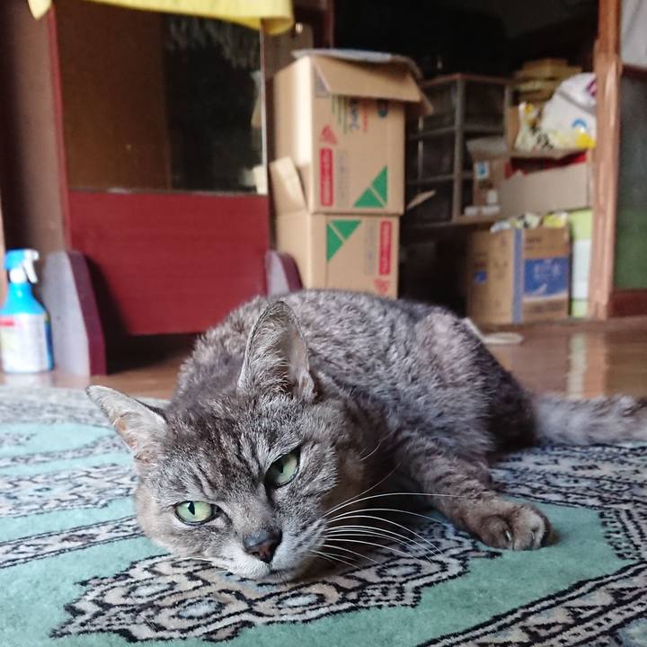 1d71631f fabd 4143 ac74 54c648ef65e1 1596185591448