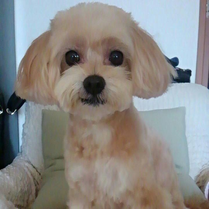 1d71aee3 9085 4a84 8f4c 3d60dcaa31ee 1509277795782