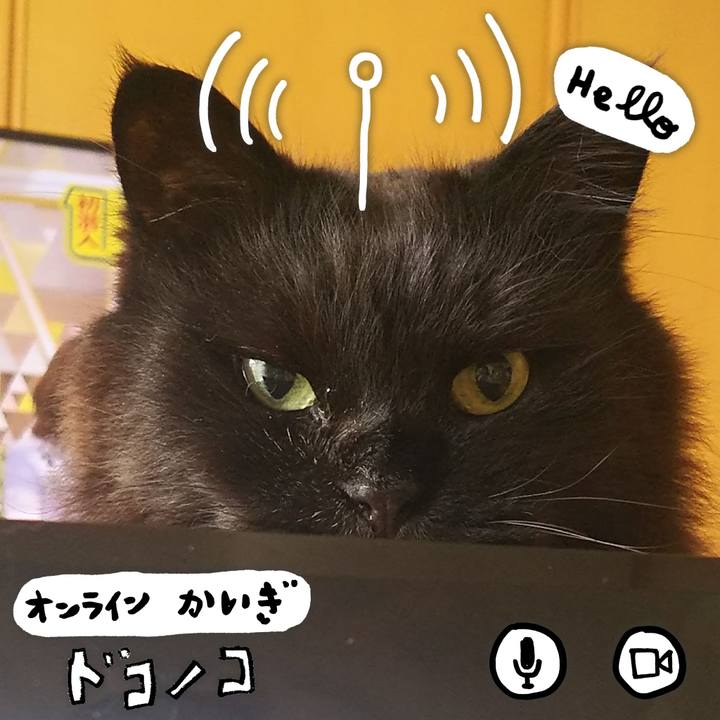 1d71b9d5 d34e 4265 8bd2 5f58a566c49b 1590706695701