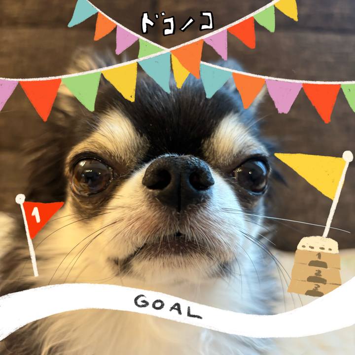 1d71ee1f 4092 4221 baf7 e8f482404caa 1730676835454