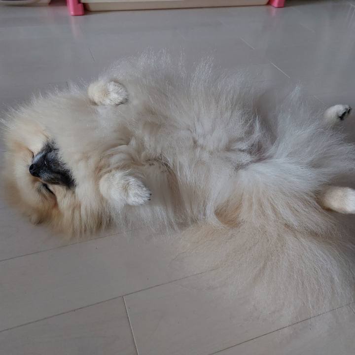 1d72184f 283f 4b26 8d8a ead3b7aa8803 1686968251391