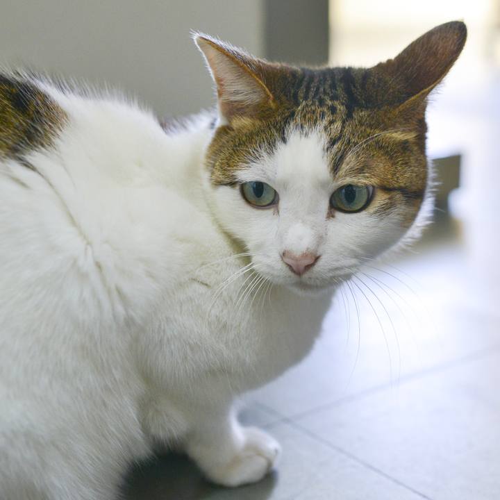 1d726ed3 8192 4111 a06e a0a30f480588 1541605411348