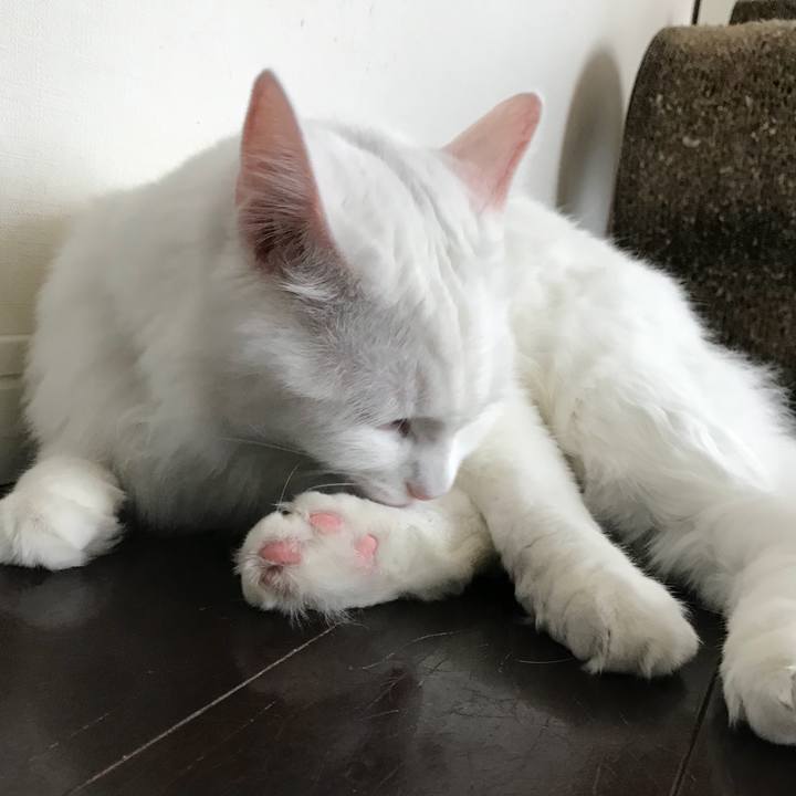 1d72723d e0d9 4147 bf45 eee21d7e4a31 1529757293450