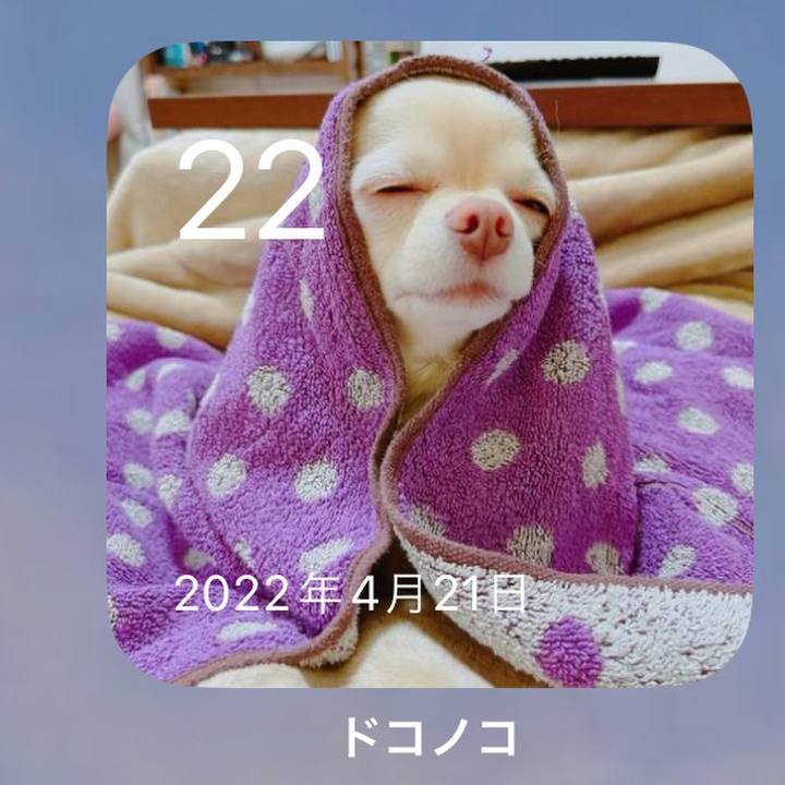 1d72af02 be9a 46c8 88dd 7c130758862f 1682125325959