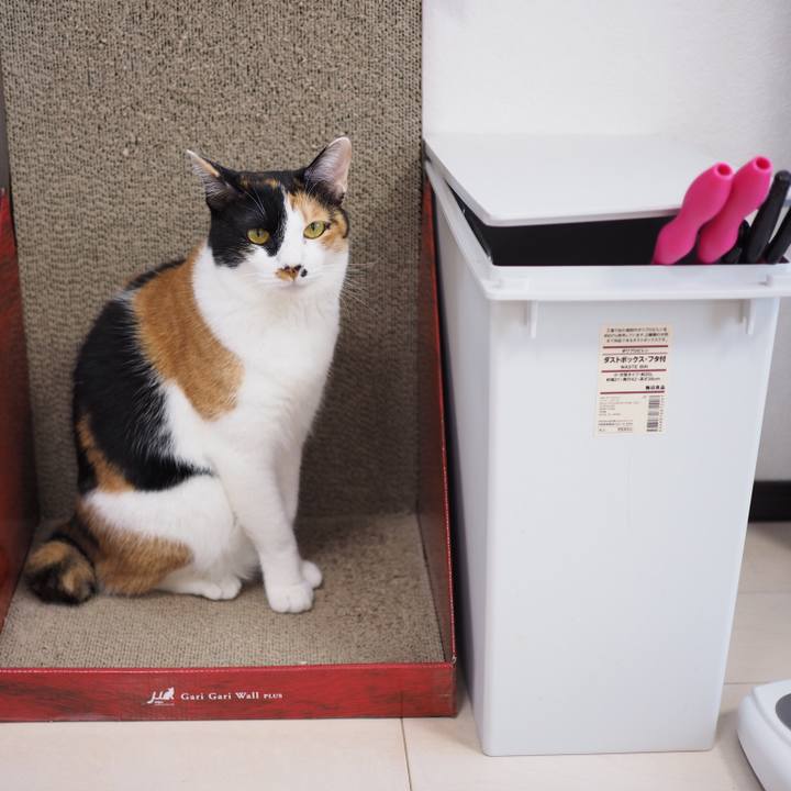 1d72e542 8ca1 48a6 a850 6260a8945888 1525061114300