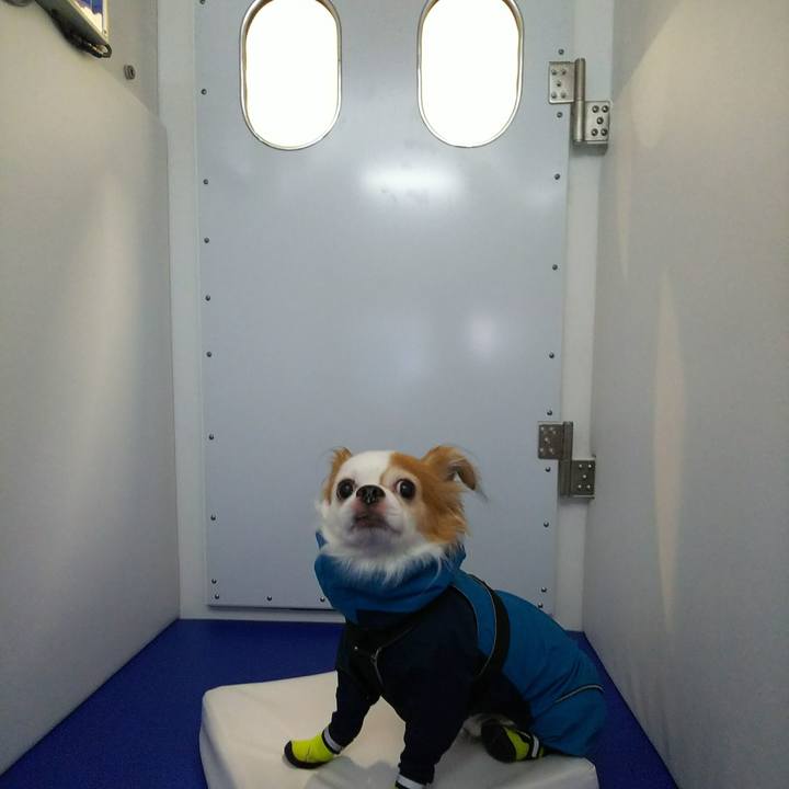 1d730495 2e70 4fbe b8c5 6171c0640a64 1516427546660