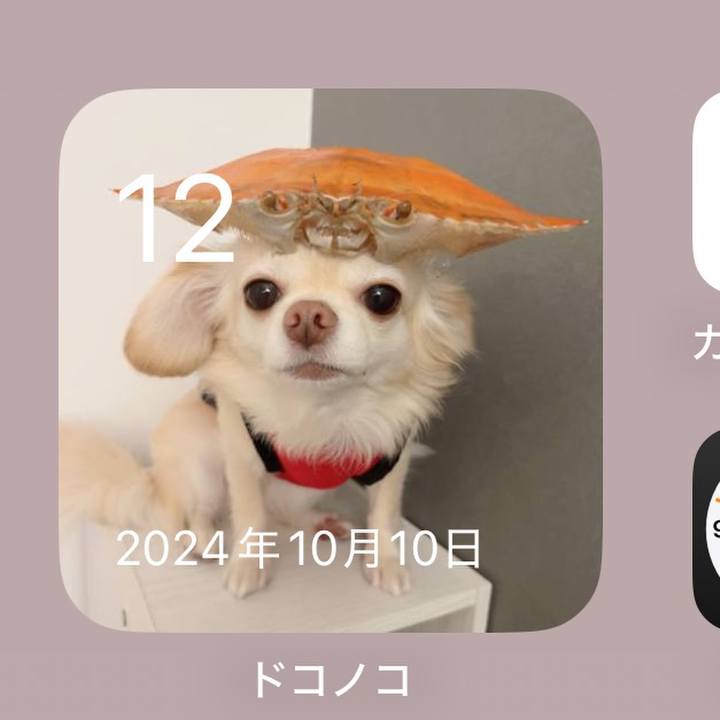 1d731ee9 c6bb 4b63 b9f6 543b371b2477 1760270991955