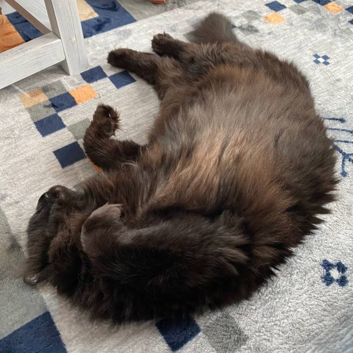 1d735dfb 1914 486a 90b3 5149f5c7bb62 1580390692229