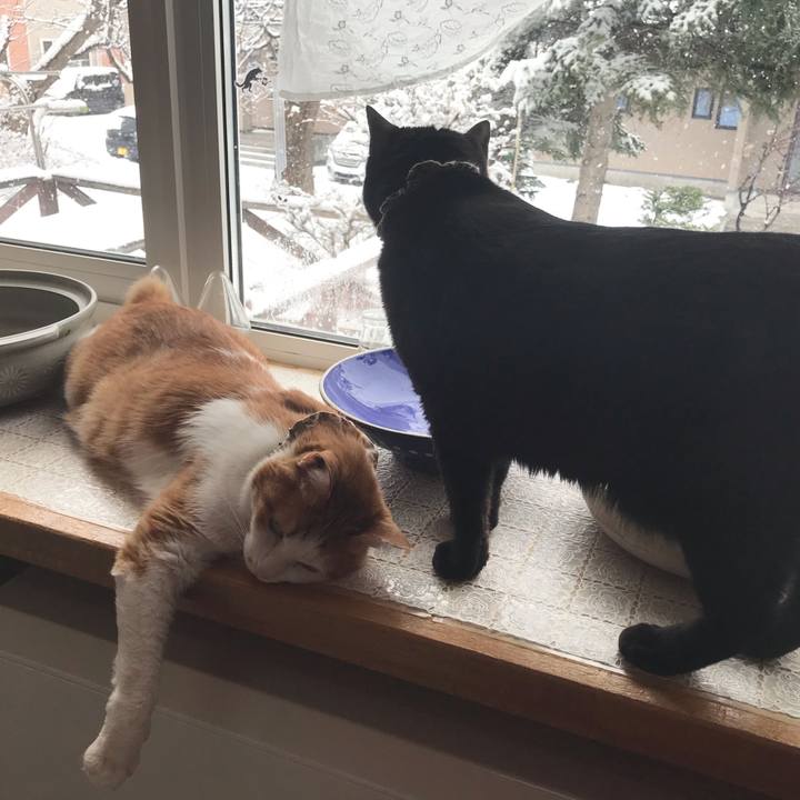 1d73618e 6401 4910 b829 9ecee49a8128 1619305398372