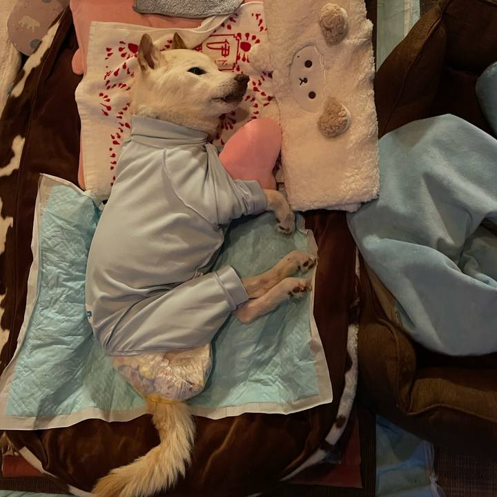 1d737d78 3c5f 4098 887f f79c04b5e724 1677154571874