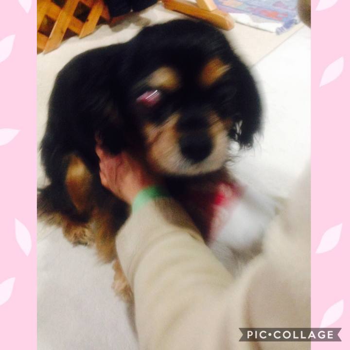 1d738978 0651 4b9c 9586 22e0fe2298b3 1553428212890