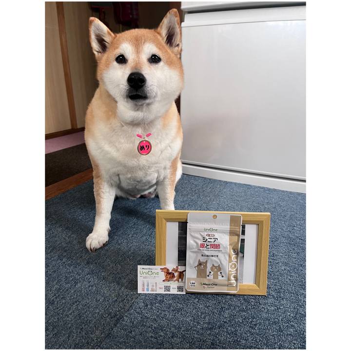 1d73bab4 8b4c 4a40 9214 5a70a82efbb9 1709869271249