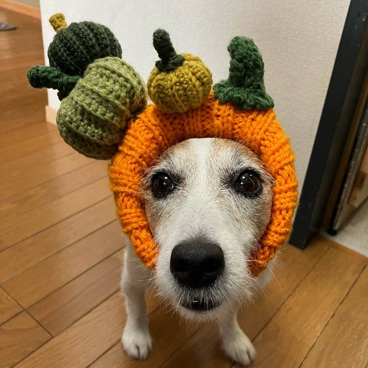 1d743457 68d4 46bb 8b89 fba9cbcb0127 1667171866089