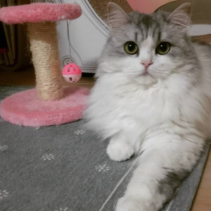 1d743635 7112 4450 9233 607c401af25b 1541259157848