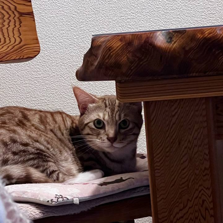 1d744939 a317 4e5d b285 53a47bcfb177 1697113824424